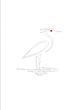 Ardea